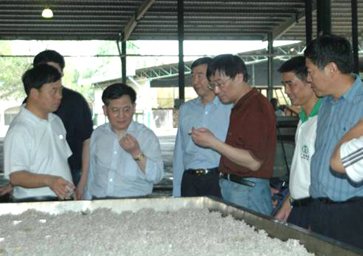 中国橡胶工业协会组织考察广垦橡胶境外生产基地(图2)
