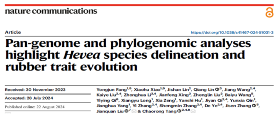 中国热科院在橡胶树种质遗传多样性和产胶进化研究上取得重要进展(图1) 中国热科院在橡胶树种质遗传多样性和产胶进化研究上取得重要进展(图1)