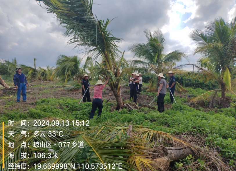 众志成城 守望相助丨海南橡胶组建多个支援队开展“一对一”帮扶(图3) 众志成城 守望相助丨海南橡胶组建多个支援队开展“一对一”帮扶(图3)