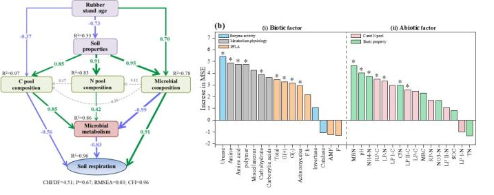 中国热科院在橡胶林土壤碳矿化机制方面取得新进展(图1) 中国热科院在橡胶林土壤碳矿化机制方面取得新进展(图1)