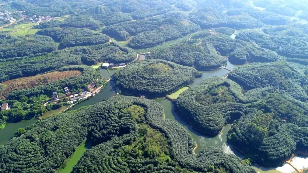 全国人大代表郑杰:加快国产特种天然橡胶生产应用(图4) 全国人大代表郑杰:加快国产特种天然橡胶生产应用(图4)