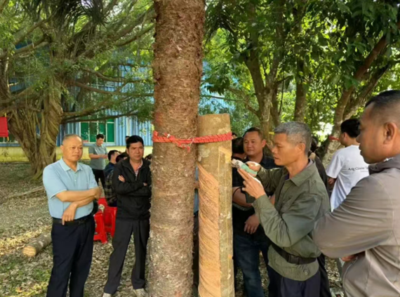 2025年海南省智能割胶装备培训班第一期在海南儋州开班(图5)