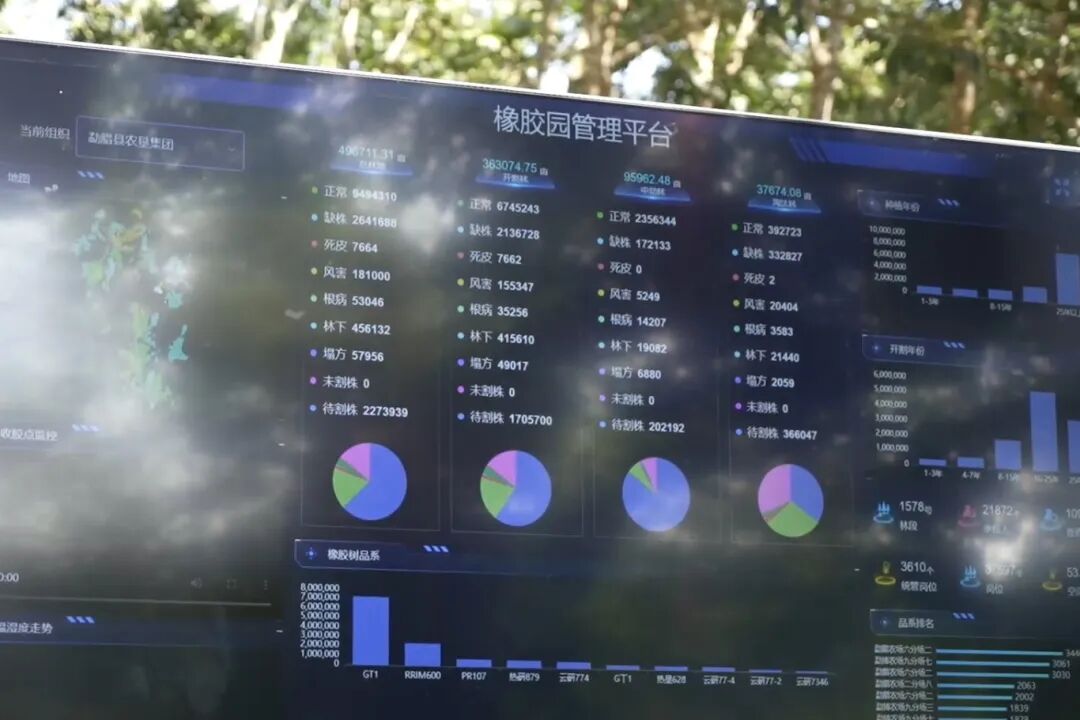 智慧收胶站+智能交易系统：数字技术如何为胶农“减负增收”，为胶企“提质增效”？(图5)