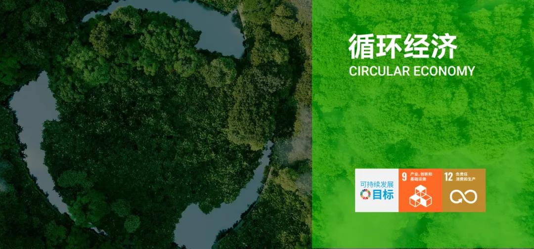 A股行业第一！玲珑轮胎又被国际权威机构“点名”了(图2)