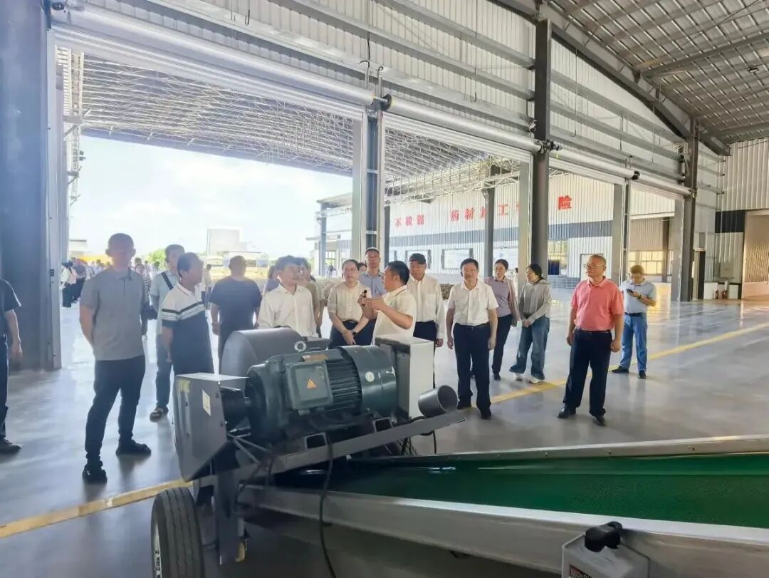 国家天然橡胶产业技术体系在茂名举办胶园林下经济技术推介暨现场观摩活动(图9)
