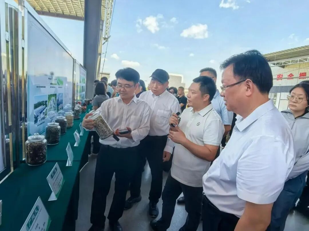 国家天然橡胶产业技术体系在茂名举办胶园林下经济技术推介暨现场观摩活动(图10)
