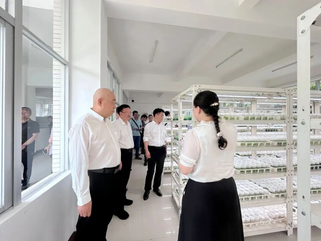 国家天然橡胶产业技术体系在茂名举办胶园林下经济技术推介暨现场观摩活动(图4)