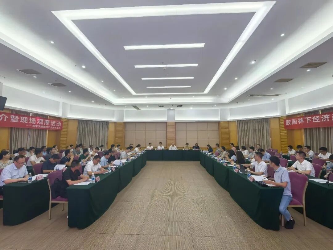国家天然橡胶产业技术体系在茂名举办胶园林下经济技术推介暨现场观摩活动(图12)