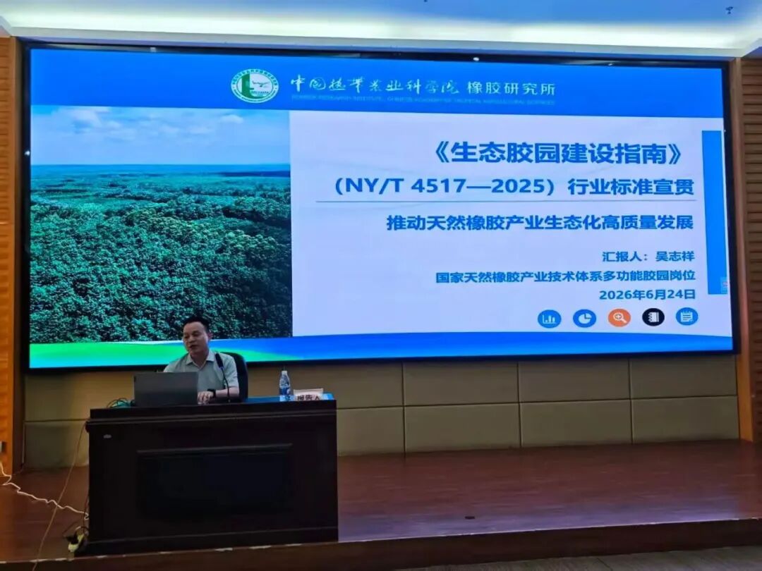 国家天然橡胶产业技术体系在茂名举办胶园林下经济技术推介暨现场观摩活动(图15)