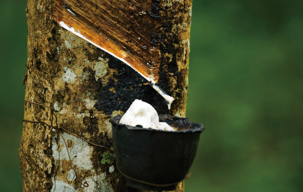 当“轮胎消耗”遇上“新能源浪潮”:天然橡胶的供需逻辑正在重写(图1) 当“轮胎消耗”遇上“新能源浪潮”:天然橡胶的供需逻辑正在重写(图1)