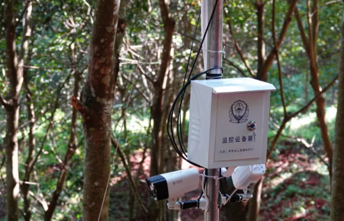 行业动态 | 西双版纳将开展首届智能割胶装备技术实测验证活动(图5) 行业动态 | 西双版纳将开展首届智能割胶装备技术实测验证活动(图5)