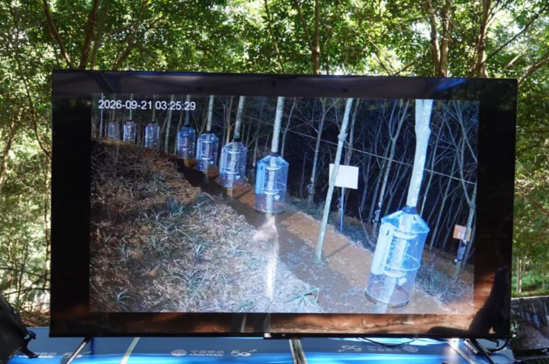 行业动态 | 西双版纳将开展首届智能割胶装备技术实测验证活动(图6) 行业动态 | 西双版纳将开展首届智能割胶装备技术实测验证活动(图6)