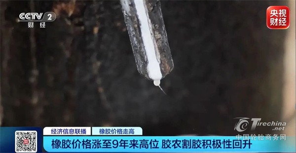 三大原料集体冲高,轮胎成本压力全面来袭(图1) 三大原料集体冲高,轮胎成本压力全面来袭(图1)